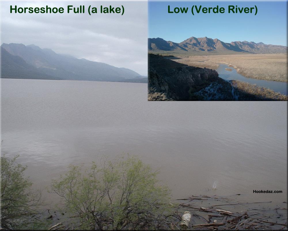 before-after-pic-of-horseshoe-lake.jpg